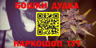 ECSTASY Новодвинск
