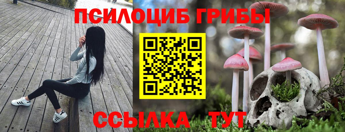 Псилоцибиновые грибы Psilocybe  Вход с VPN  Псилоцибиновые грибы Magic Shrooms  Соль-Илецк 